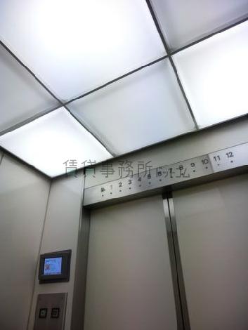 天井の照明