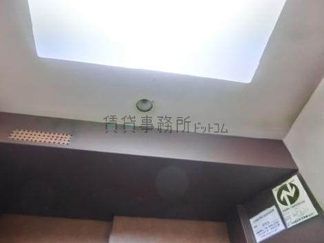 天井の照明