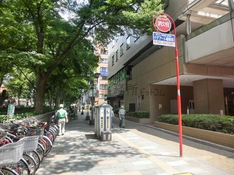 緑が豊富ですね