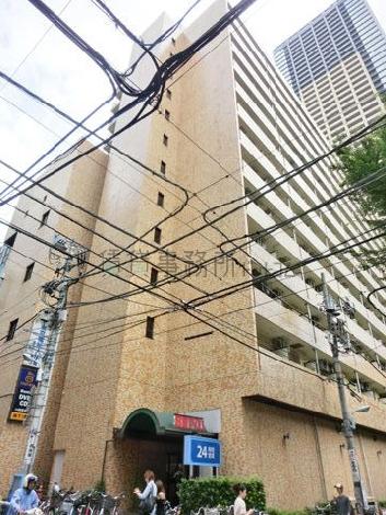 西側側面からの様子