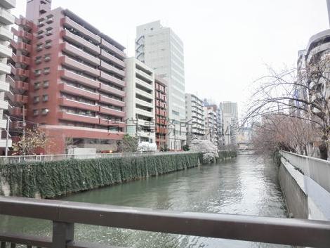 目の前に目黒川が流れます