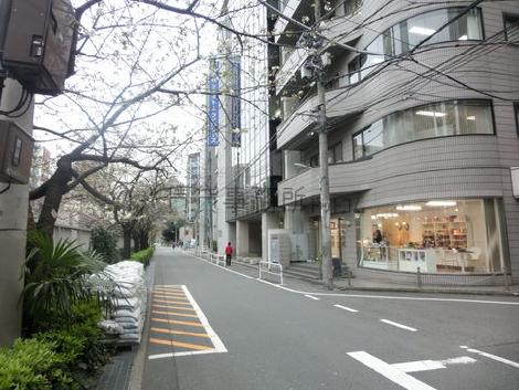 全面道路右側は桜田通りがあります