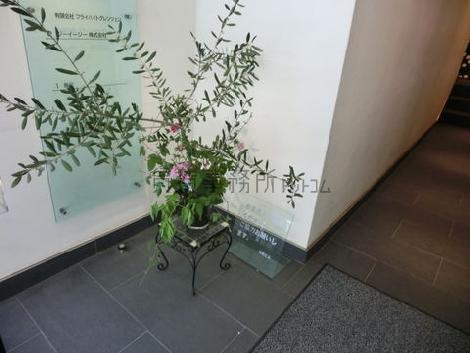 観葉植物があります