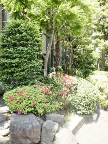 整備の行き届いた植木等が数多くレイアウトされています