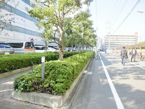 緑豊かな通り