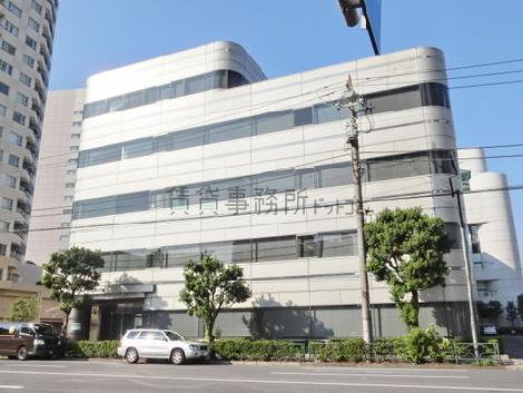 日当たり良好です