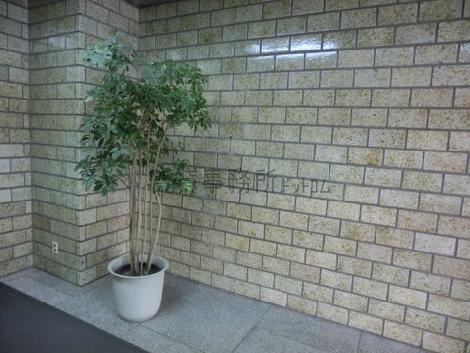 植木があります