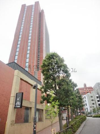周辺は街路樹などが並び綺麗に整備されています