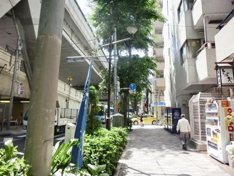 街路樹のある通り