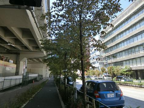 物件周辺
