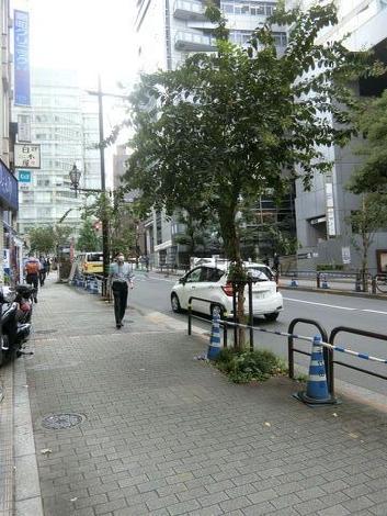 物件周辺