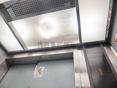 天井の照明