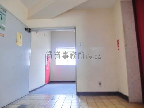 綺麗に整備されています