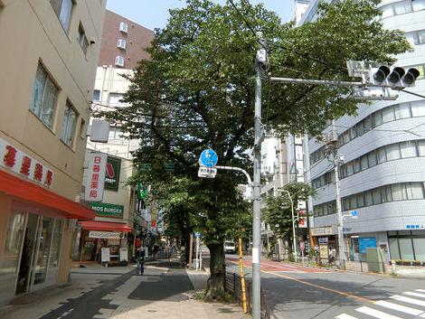 物件周辺