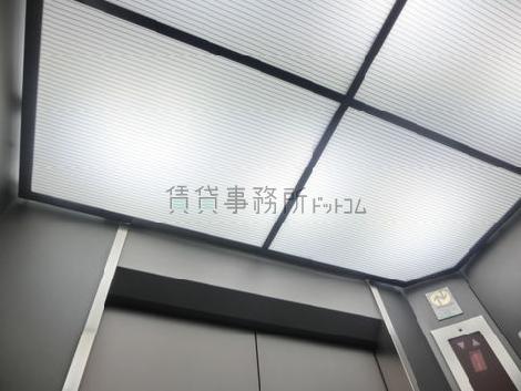 天井の照明