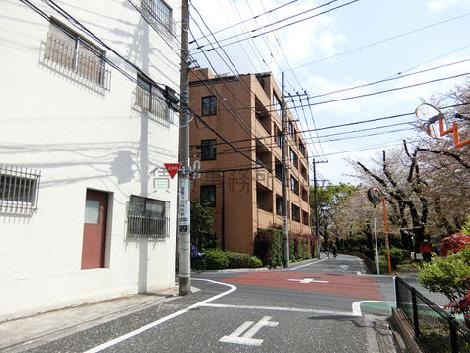 物件周辺