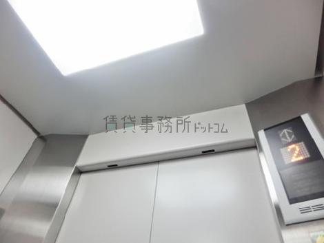 天井の照明