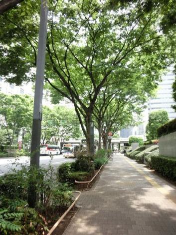 物件周辺
