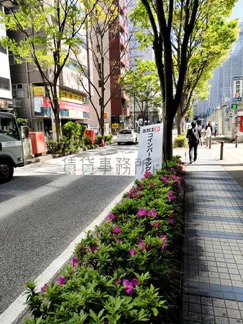 物件周辺