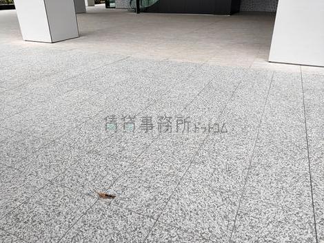 正面玄関