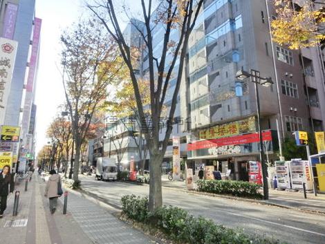 緑が多い前面道路です