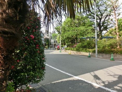 物件から見た周辺です