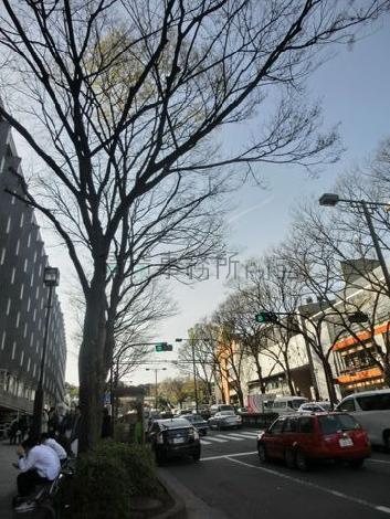 前面道路は表参道なので、印象は抜群に良いです