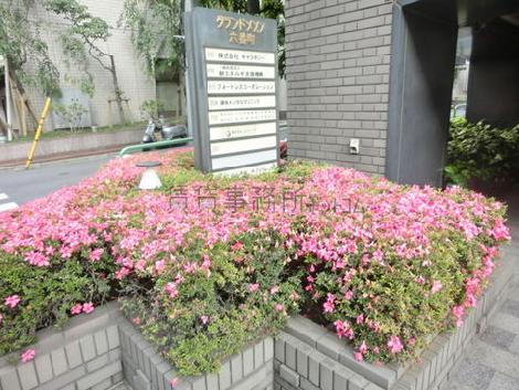 物件周辺