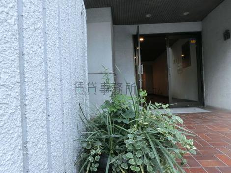 植物が置いてあるなど、お洒落な雰囲気が漂います