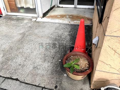 正面玄関
