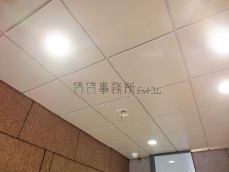 ひとつひとつは小さめですが、強い明かりです
