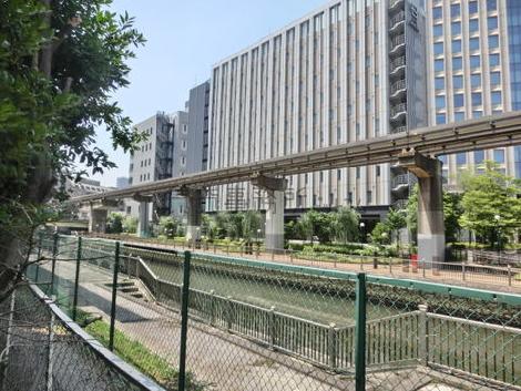 裏庭からは高層ビルが立ち並ぶ風景が見えます