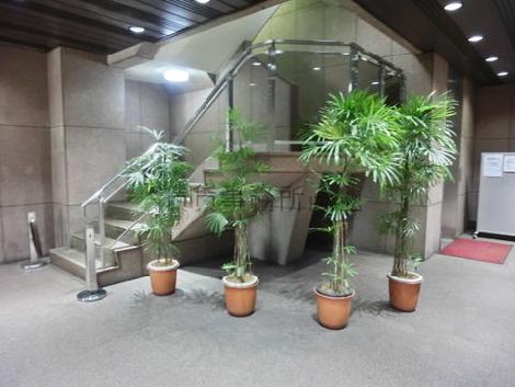 ゆとりのある空間