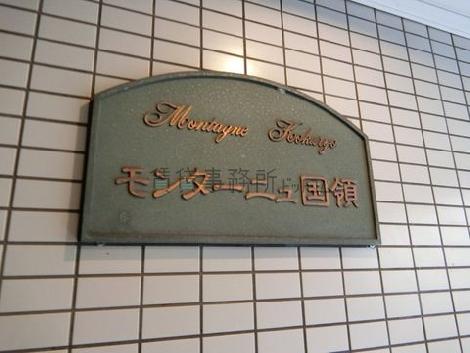 モンターニュ国領