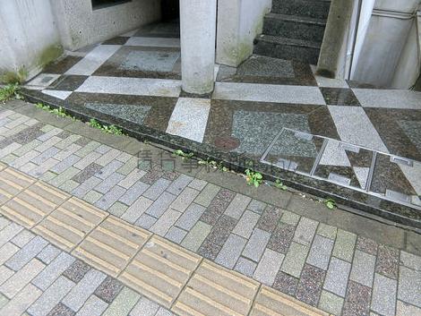 正面玄関