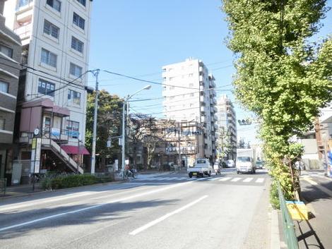 街路樹のある通り