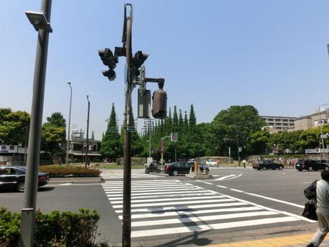 物件入口から見た周辺です