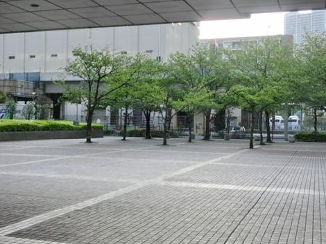 緑が多く植えられています