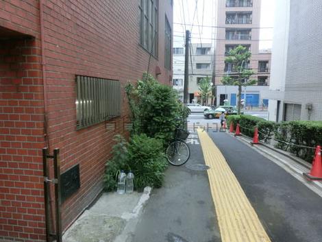 物件から入口から見た周辺です