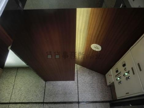 ホール内の天井です