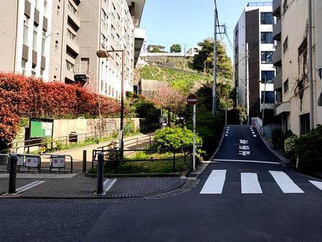 物件周辺