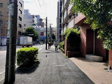 物件周辺