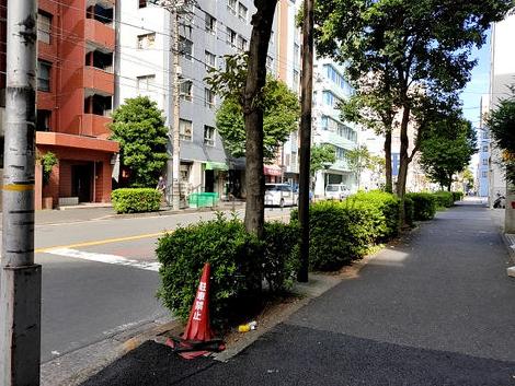 物件周辺