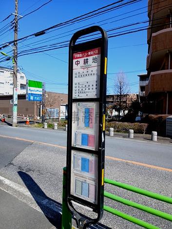 物件周辺