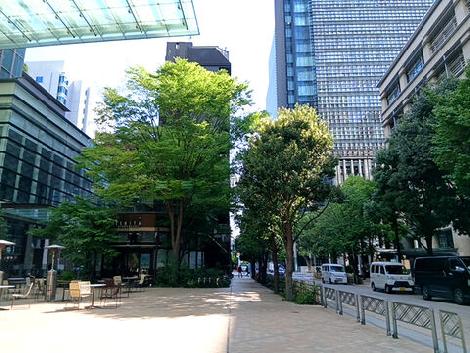 物件周辺