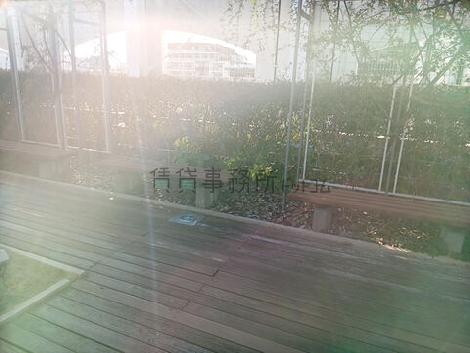 屋上