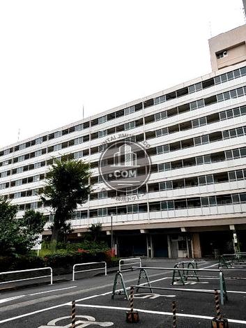戸山ハイツアパート25号棟の外観写真
