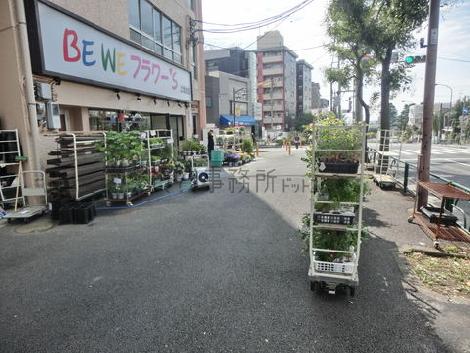 物件周辺