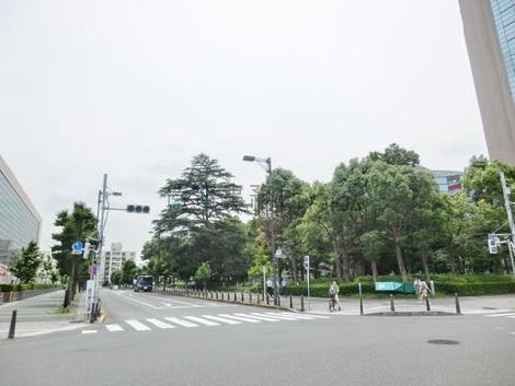 物件周辺