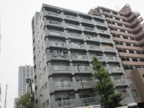 マンションタイプの物件です